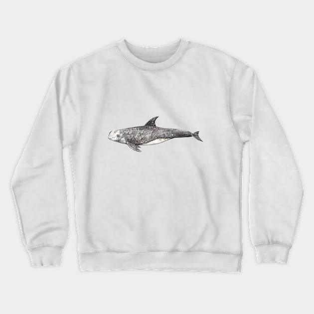 Risso´s dolphin Grampus griseus Crewneck Sweatshirt by chloeyzoard